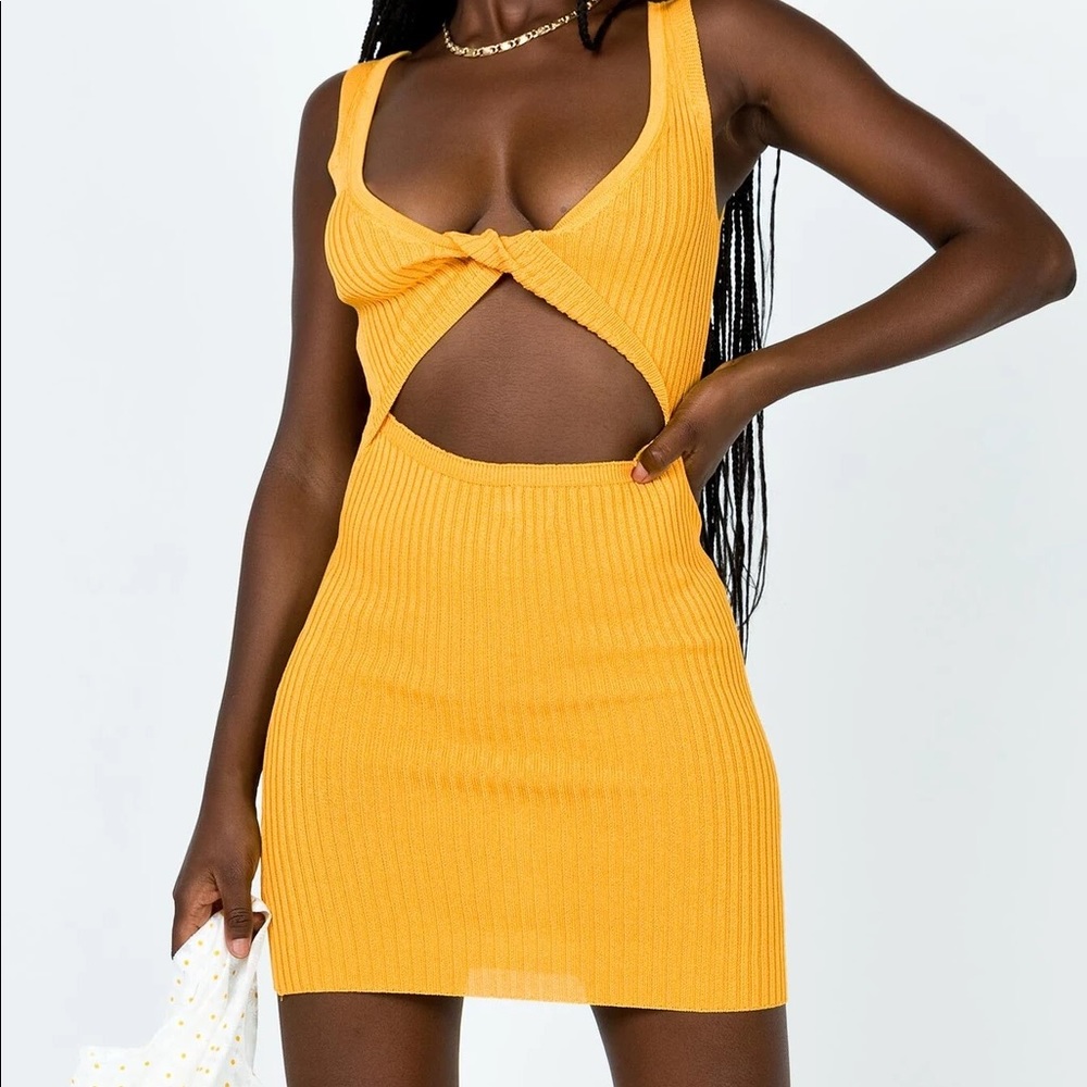 Princess Polly laykin mini dress!